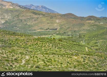 View of the green countryside . View of the green countryside of the island of Crete in Greece