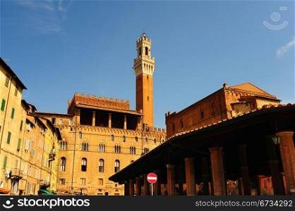 View Of The Historic Center Of Siena And Palazzo Pubblico