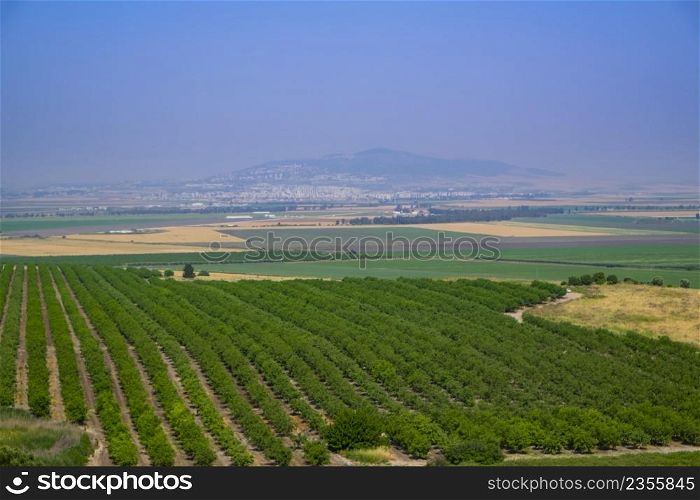 View of the Israeli Golan Heights with vineyards and developed agriculture, Druze cities and paved roads