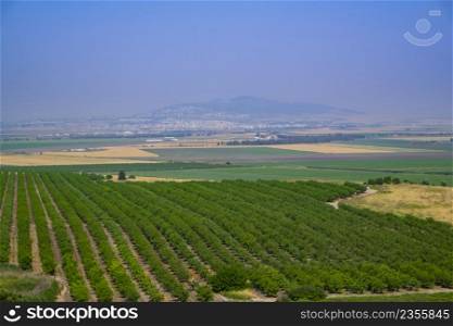 View of the Israeli Golan Heights with vineyards and developed agriculture, Druze cities and paved roads