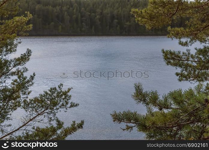 View of the lake from behind tree branches
