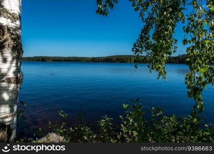 view of the lake from the shore. High quality photo. view of the lake from the shore