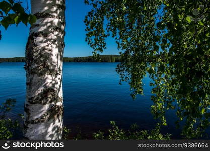 view of the lake from the shore. High quality photo. view of the lake from the shore