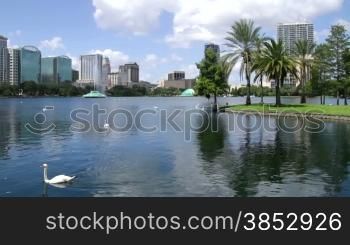 View of the lake with its swans and the city skyline.Urban green space in the city center of Orlando.Lake shore city view with skylines, fountains and recreation areas.Located on Rosalind Avenue in Orlando, Florida, the Lake Eola Park is a popula