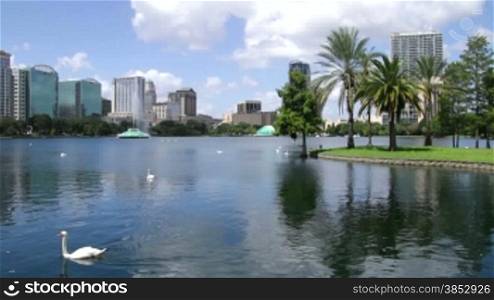 View of the lake with its swans and the city skyline.Urban green space in the city center of Orlando.Lake shore city view with skylines, fountains and recreation areas.Located on Rosalind Avenue in Orlando, Florida, the Lake Eola Park is a popula