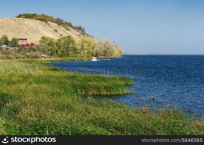 View of the lake with reeds