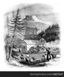 View of the mountain Gousta in Westford dalen valley in Norway, vintage engraved illustration. Magasin Pittoresque 1836.