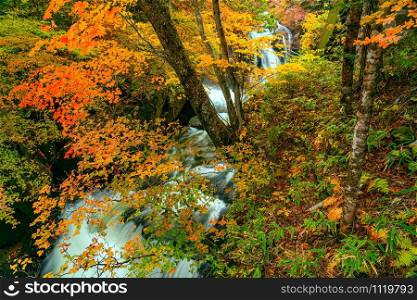 View of the natural clear stream flow over rocks passing the forest of colorful foliage of autumn season in Nikko City, Tochigi Prefecture, Japan.