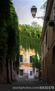 View of the old street in Trastevere in Rome, Italy