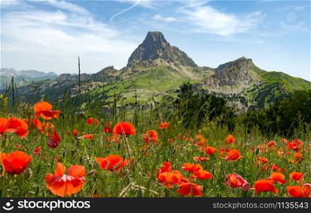 View of the Pic du Midi d&rsquo;Ossau in the French Pyrenees, with field of poppies