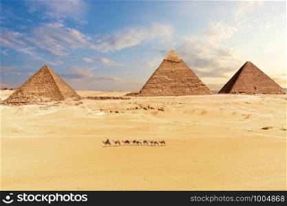 View of the Pyramids in Giza desert, Cairo, Egypt.. View of the Pyramids in Giza desert, Cairo, Egypt