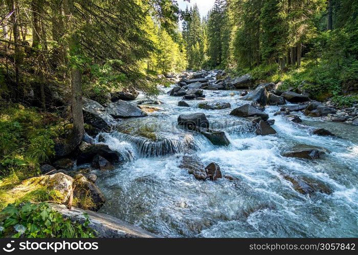 View of the river or torrent in the Natural Park of Paneveggio Pale di San Martino in Tonadico, Trentino, Italy