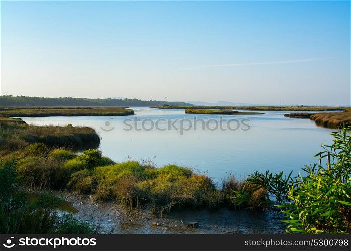view of the river sado estuary in Comporta, Alentejo Portugal