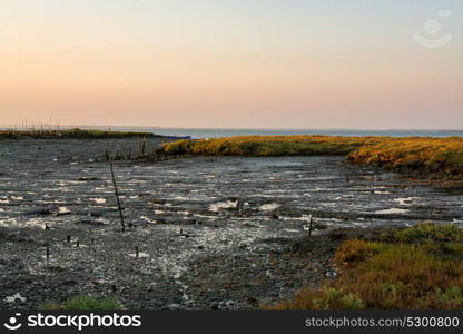 view of the river sado estuary in Comporta, Alentejo Portugal