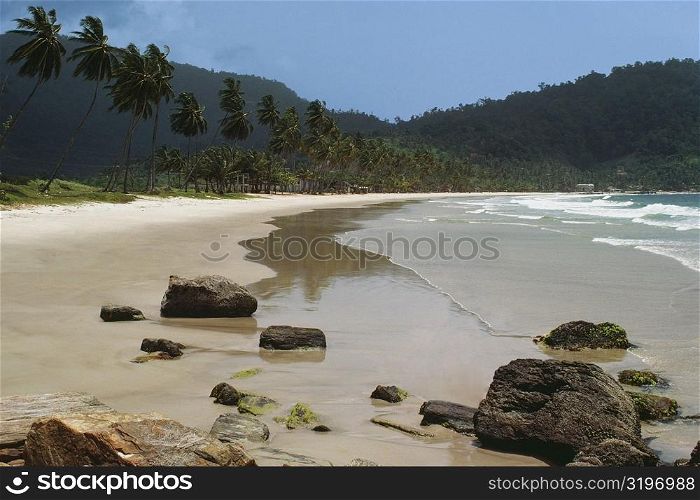 View of the scenic Maracas Beach, Trinidad, Caribbean