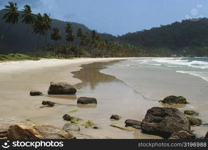 View of the scenic Maracas Beach, Trinidad, Caribbean