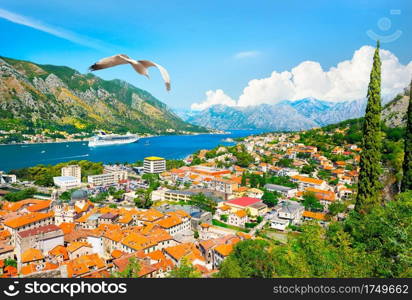 View of the seagull and the bay of Kotor in Montenegro