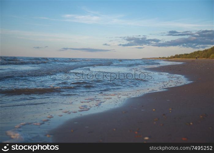view of the shore of the Baltic Sea.