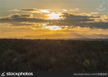 View of the sunset on the savannah of Nairobi Park in central Kenya. View of the sunset on the savannah 