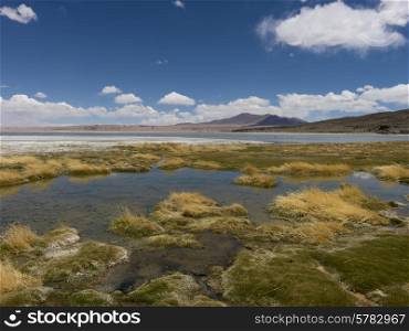 View of the Tara Salt Flat, Salar de Atacama, San Pedro de Atacama, El Loa Province, Antofagasta Region, Chile