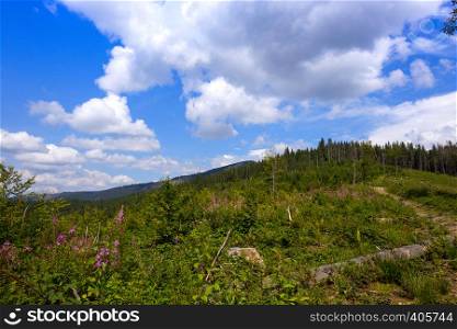 view of the traditional mountain landscape in the Carpathians, Ukraine. gorgany