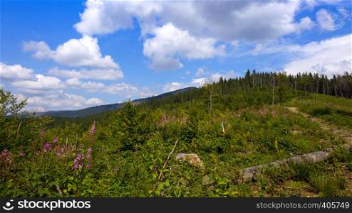 view of the traditional mountain landscape in the Carpathians, Ukraine. gorgany