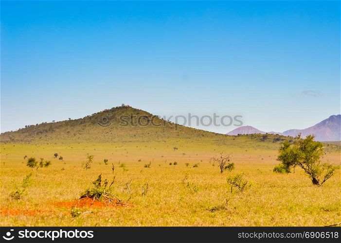 View of the Tsavo East savannah in Kenya . View of the Tsavo East savannah in Kenya with the mountains in the background