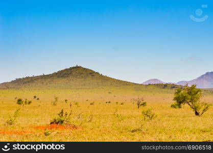 View of the Tsavo East savannah in Kenya . View of the Tsavo East savannah in Kenya with the mountains in the background