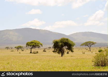 View of the Tsavo East savannah . View of the Tsavo East savannah in Kenya with the mountains in the background