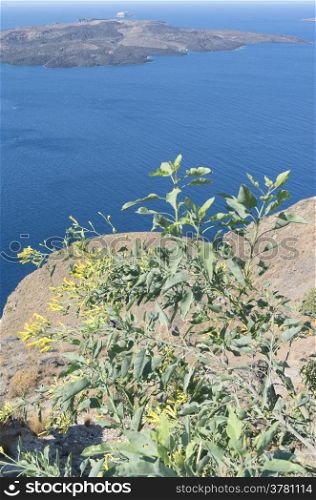 View of Thira at Santorini island in Greece.