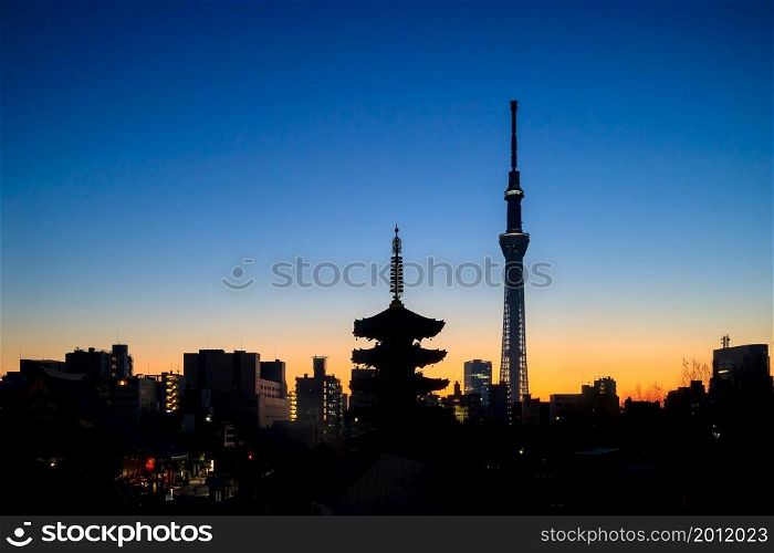 View of Tokyo skyline at twilight in Japan.