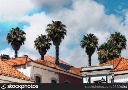 View of traditional Portuguese architecture with palm trees in Cascais, Portugal on the Portuguese Riveira 30km west of Lisbon. View of traditional Portuguese architecture with palm trees in Cascais, Portugal