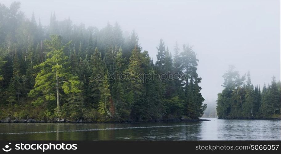View of trees at lakeside, Kenora, Lake of The Woods, Ontario, Canada