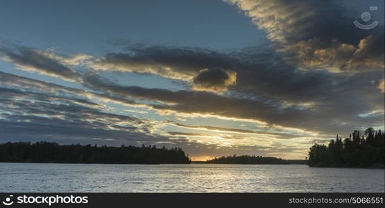 View of trees at lakeside, Lake of The Woods, Ontario, Canada