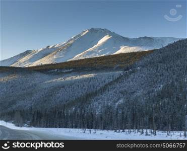 View of trees with snowcapped mountain in the background, Alaska Highway, Northern Rockies Regional Municipality, British Columbia, Canada