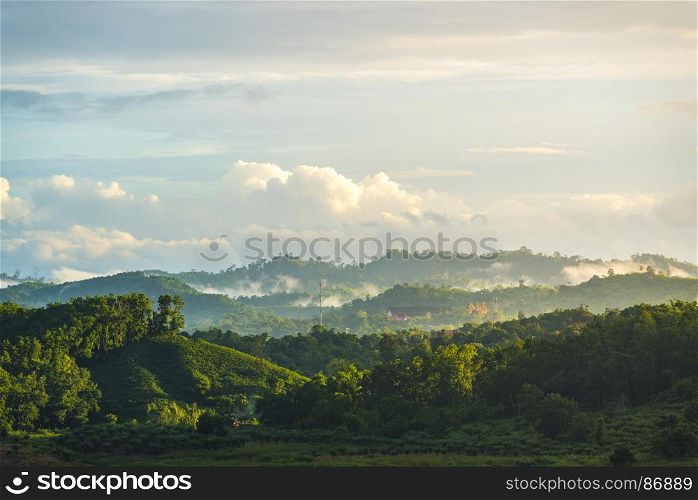 view of tropical forest in Thailand
