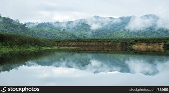 view of tropical forest in Thailand