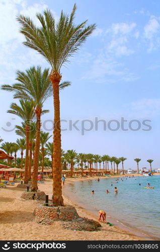 View of tropical resort with palm trees sand and sandy beach. Paradise rest on seashore of Red sea. Tropical resort. Vacations concept. View with people relaxing on beach with palm trees and sea. Tropical resort. View with people relaxing on beach with palm trees and sea