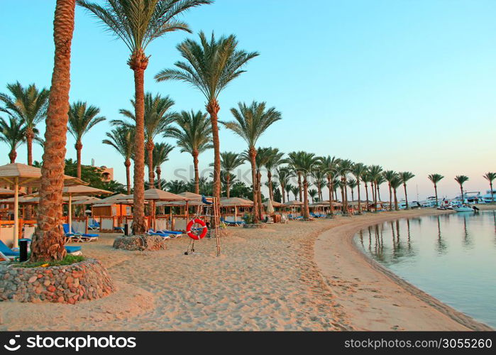 View of tropical resort with palm trees sand and sandy beach. Paradise rest on seashore of Red sea. Tropical resort. Vacations concept. View with people relaxing on beach with palm trees and sea. View of tropical resort with palm trees sand and sandy beach