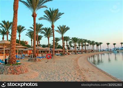 View of tropical resort with palm trees sand and sandy beach. Paradise rest on seashore of Red sea. Tropical resort. Vacations concept. View with people relaxing on beach with palm trees and sea. View of tropical resort with palm trees sand and sandy beach