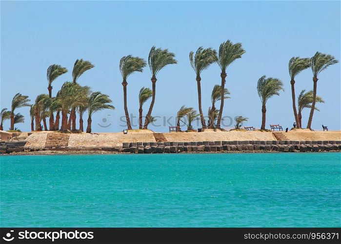 View of tropical resort with palm trees sand and sandy beach. Paradise rest on seashore of Red sea. Tropical resort. Vacations concept. View with people relaxing on beach with palm trees and sea. View of tropical resort with palm trees sand and sandy beach. Paradise rest on seashore of Red sea