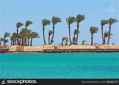 View of tropical resort with palm trees sand and sandy beach. Paradise rest on seashore of Red sea. Tropical resort. Vacations concept. View with people relaxing on beach with palm trees and sea. View of tropical resort with palm trees sand and sandy beach. Paradise rest on seashore of Red sea