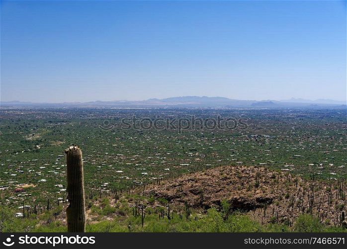 View of Tucson, Arizona from Mt Lemmon Scenic Byway with a saguaro cactus in the foreground