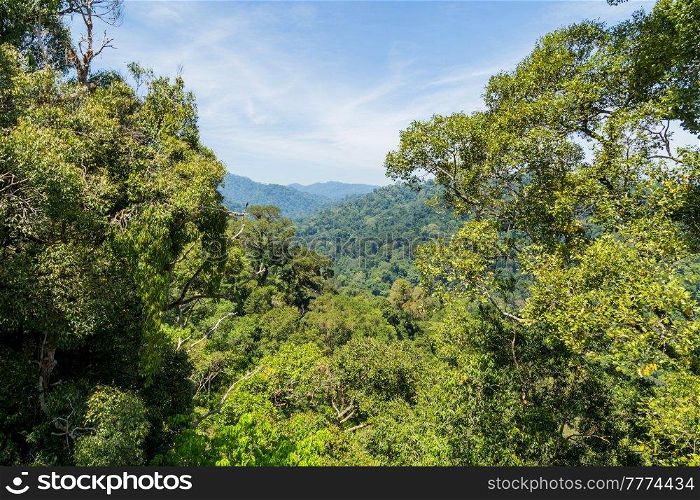 View of Ulu Temburong National Park or fathul park, in Temburong District in eastern Brunei from canopy walkway