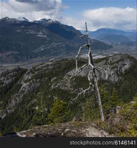 View of valley with mountains, BC Coast, Coast Mountains, Squamish, British Columbia, Canada