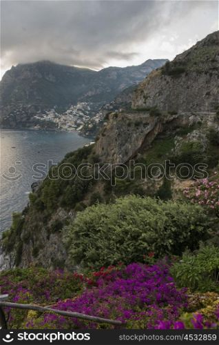 View of wildflowers at coast, Amalfi Coast, Salerno, Campania, Italy