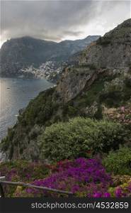 View of wildflowers at coast, Amalfi Coast, Salerno, Campania, Italy