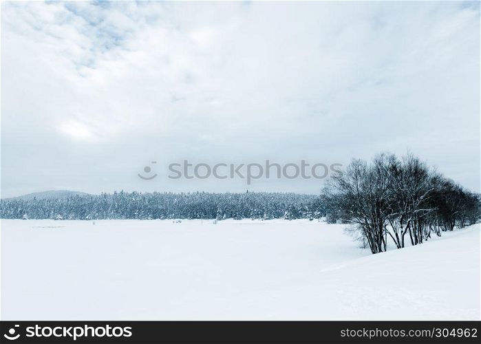 View of Winter frozen lake with pine forest at a cloudy dull day. View of Winter frozen lake with pine forest