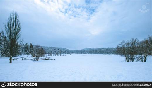 View of Winter frozen lake with pine forest at a cloudy dull day. View of Winter frozen lake with pine forest