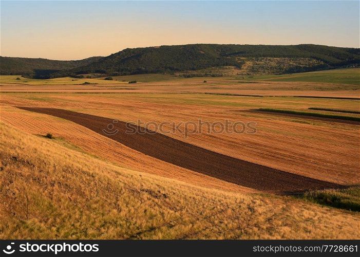 View Of Yellow And Green Fields in Macin, Romania in Summer